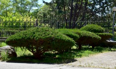 Прикрепленное изображение: 127.JPG